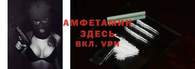 прущие грибы Каменск-Шахтинский