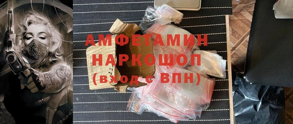 крисы Каменногорск