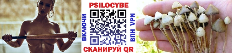 Купить  Новоузенск  Псилоцибиновые грибы мицелий 